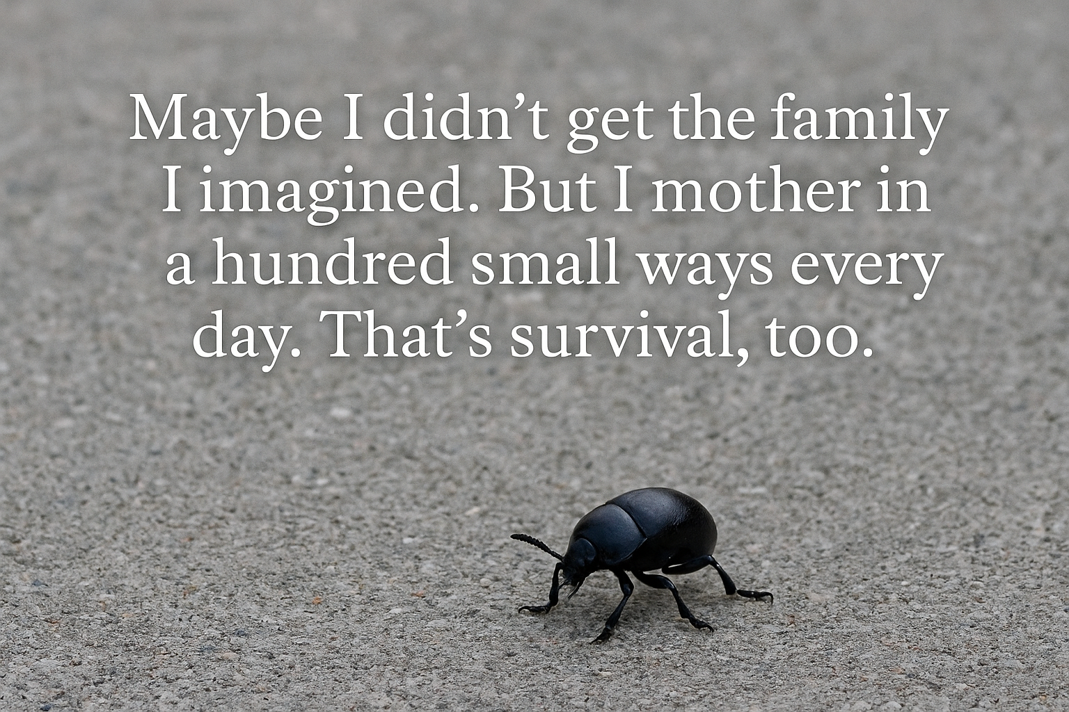 A close-up of a beetle walking across concrete, symbolizing emotional survival and quiet care. Overlay text reads: “Maybe I didn’t get the family I imagined. But I mother in a hundred small ways every day. That’s survival, too.